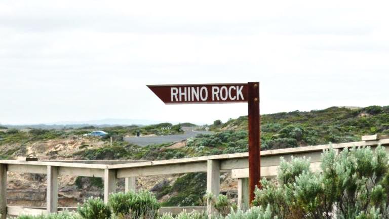 Rhino Rock